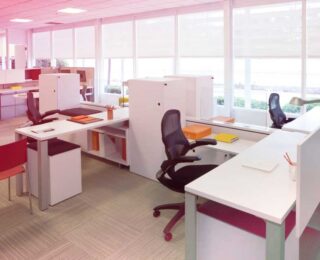Office Cultre.