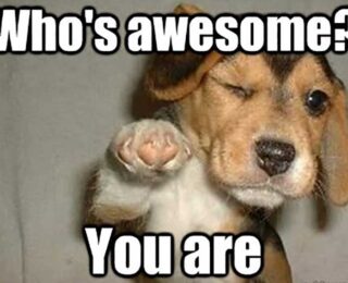 Who's awesome? You are.