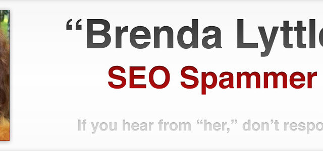 Brenda Llyttle SEO spammer banner.