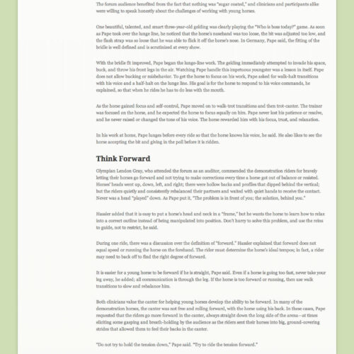 Portfolio item: Erin Shea Dressage - Blog post.