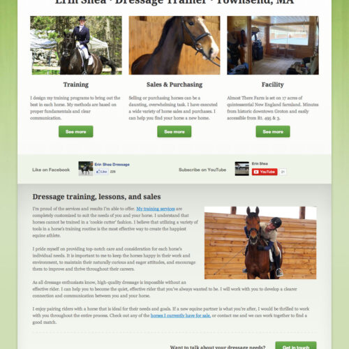 Portfolio item: Erin Shea Dressage - Home page.