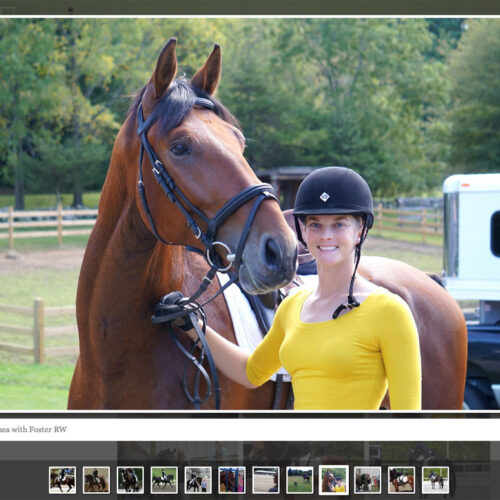 Portfolio item: Erin Shea Dressage - Photo page.