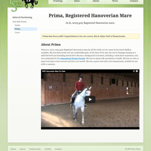 Portfolio item: Erin Shea Dressage - Sold horse page.