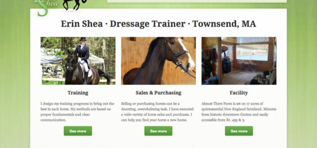 Portfolio item: Erin Shea Dressage.