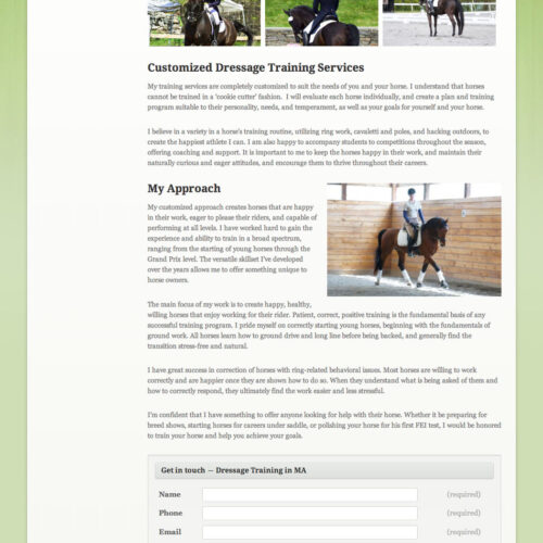 Portfolio item: Erin Shea Dressage - Dressage training page.