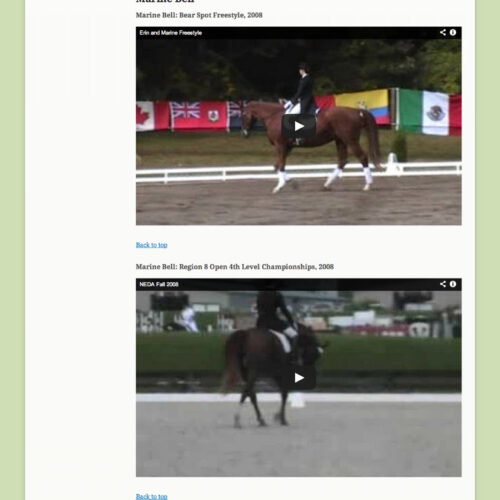 Portfolio item: Erin Shea Dressage - Video page.