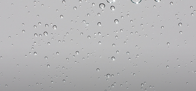 An image of UMass Amherst iPhone app, app Home Screen icon.