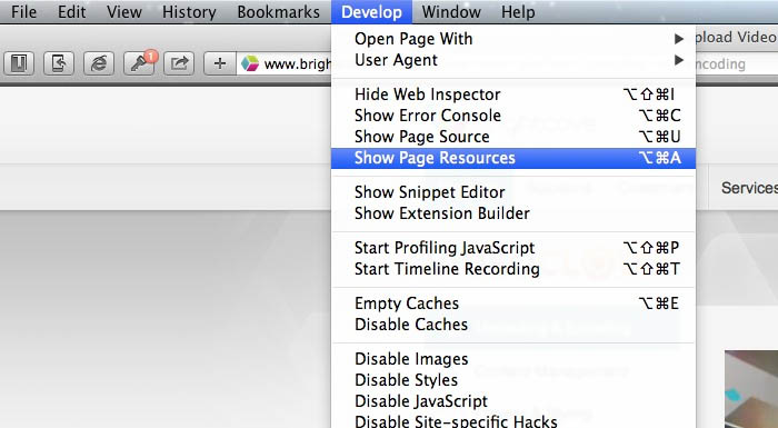 A screenshot showing how to open Safari's Page Resources panel.