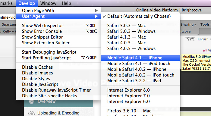 A screenshot showing how to enable Safari User Agent spoofing.