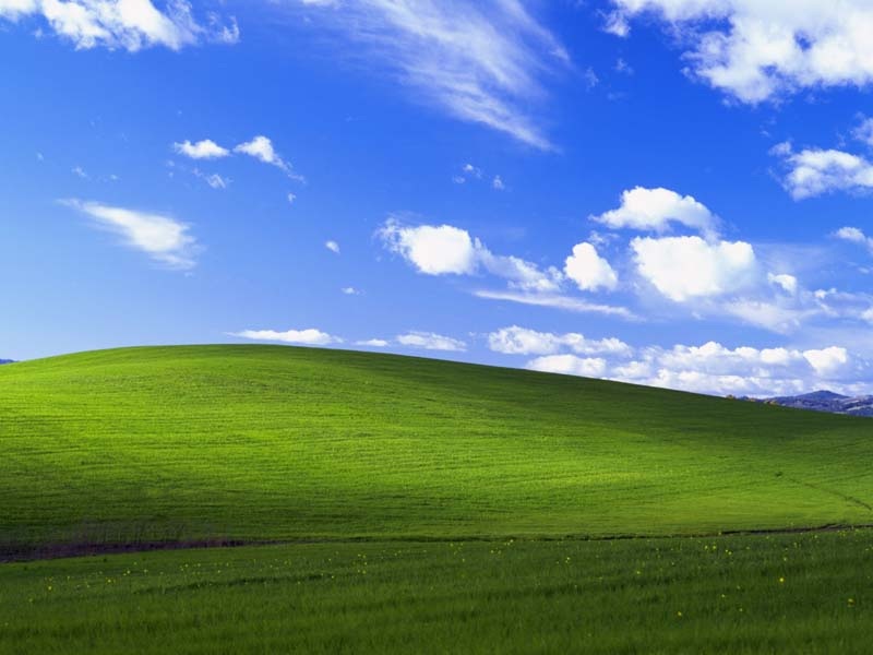 Windows XP Desktop Background: Bliss.